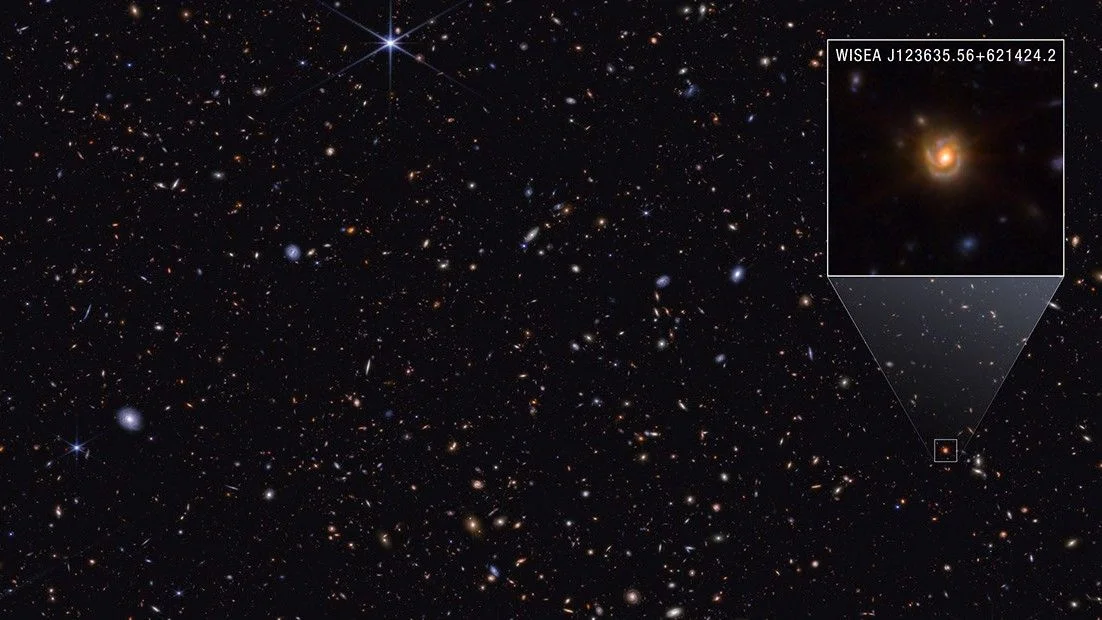 James Webb Space Telescope image of spiral galaxy Saguaro showing a bright red core and sweeping spiral arms