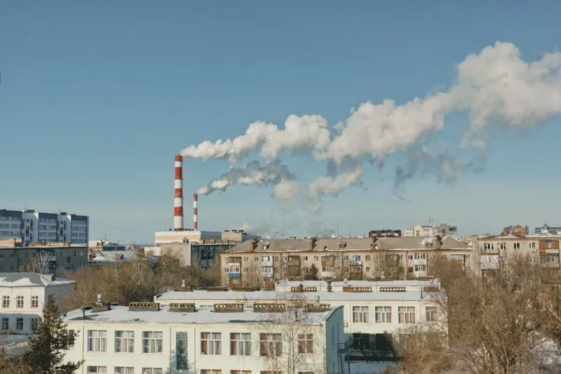 Коротке вплив забруднювачів повітря на легені та мозок: що виявили вчені