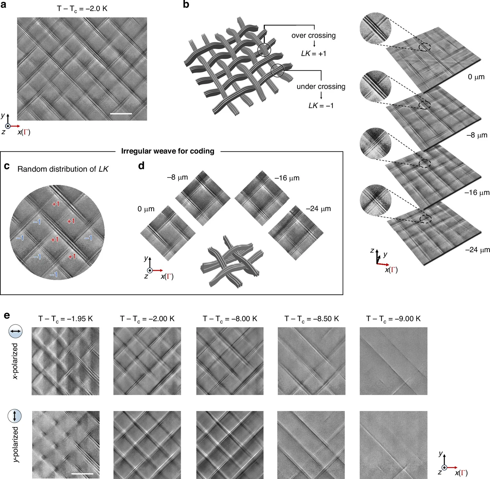 Microscopic visualization of a three-dimensional woven dipole structure forming naturally inside a ferroelectric crystal