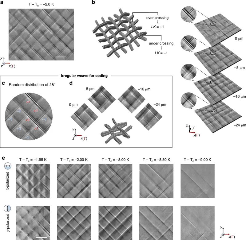 Microscopic visualization of a three-dimensional woven dipole structure forming naturally inside a ferroelectric crystal