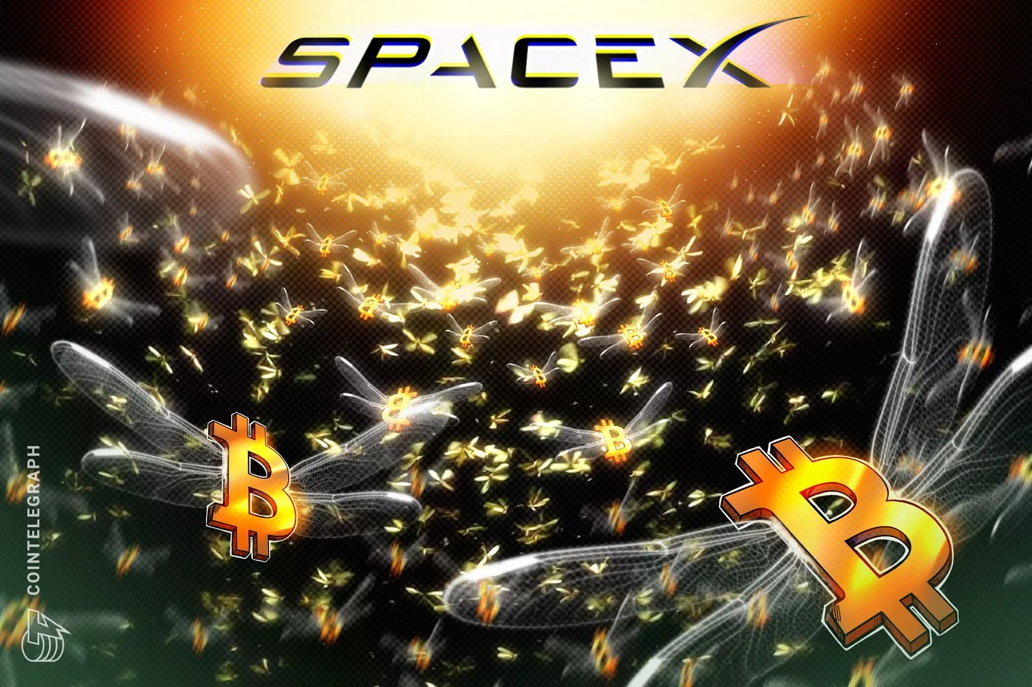 SpaceX готується до найбільшого IPO в історії та розкриває запаси Bitcoin