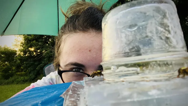 Virginia Tech researcher Laura McHenry observes honeybees at an artificial feeding station